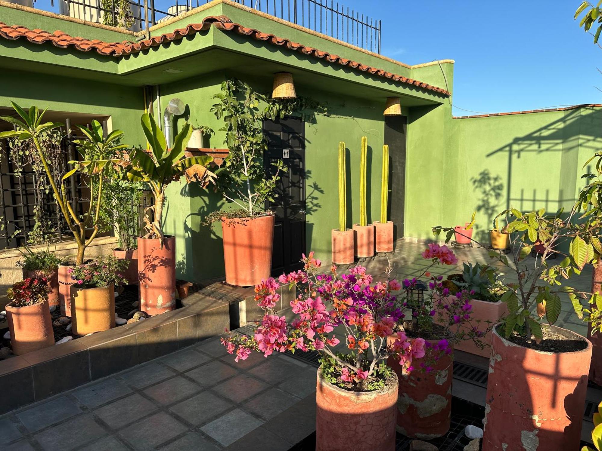 Hostal Nordes Oaxaca Exterior foto